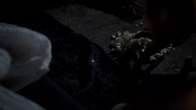 Elijah, voice-over: But we also
must accept what comes with it. - The Originals