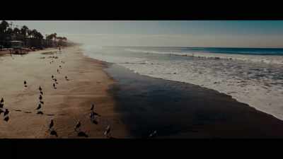 Elisa Lam traveled down towards San Diego, - Crime Scene: The Vanishing at the Cecil Hotel