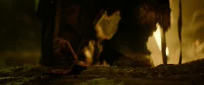 ELIZABETH: Father! - The Last Witch Hunter