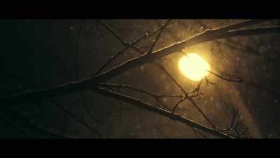 [Elizabeth] That night
he actually came over to our house. - The Innocent Man