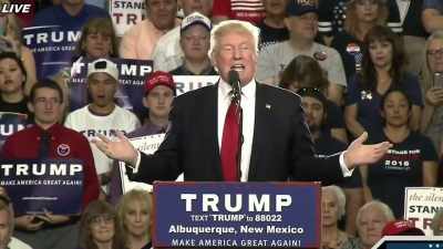 Elizabeth
Warren, today, - Trump: The Art of the Insult
