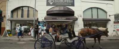 (Elizabeth): You arrive,
you're given - The Last Tourist