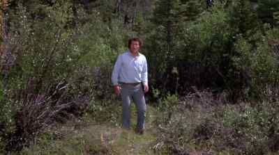 [elk growling] - The Bears and I