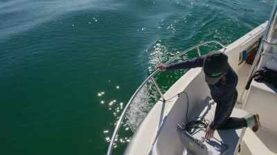 Elke keer dat we dat doen
verzamelen we allerlei informatie... - Return of the White Shark
