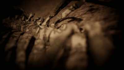 ELLA: Alongside the weapons,
something intriguing, - Viking Warrior Women