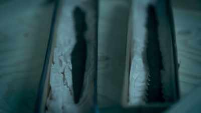 ELLA: But while the weapons
fascinated archaeologists - Viking Warrior Women