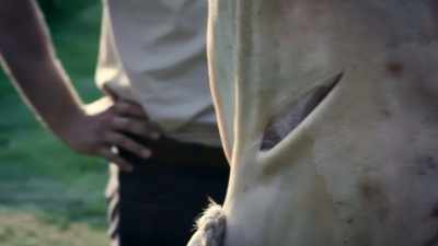 ELLA: Even in the hands
of a first-time warrior, - Viking Warrior Women