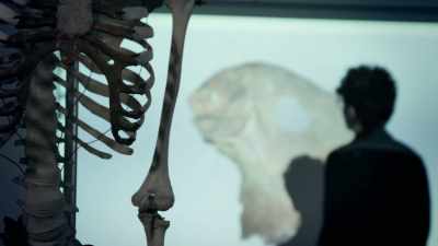 ELLA: It's a conclusion
that could be explained - Viking Warrior Women