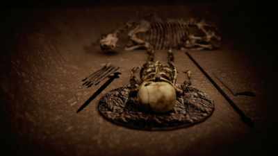 ELLA: Placed all around our Viking woman, - Viking Warrior Women