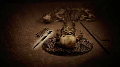ELLA: There are arrows, a sword... - Viking Warrior Women