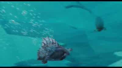 Ellie, get up. - Ice Age: The Meltdown