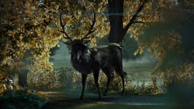I'm sorry, ok? - Hannibal