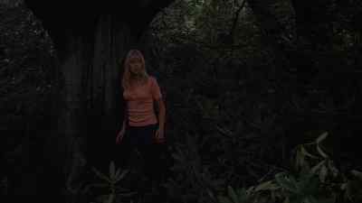 Ellie? - The Watcher in the Woods