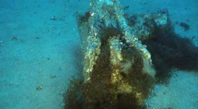 Elliott: BUILDING A WARSHIP
IS VERY EXPENSIVE. - Mysteries of the Deep