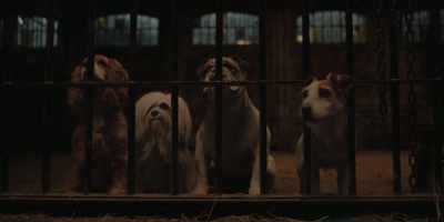 ELLIOTT: Come on. It's time to go. - Lady and the Tramp