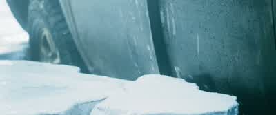 Ellis, stay still. - Icefall