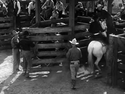 - Elly, which one is mine?
- I don't know. - The Cowboy and the Lady