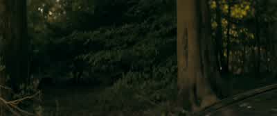 Eloise Parker. - The Beekeeper