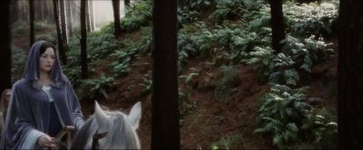 ELROND:
Take her by the safest road. - The Lord of the Rings: The Return of the King