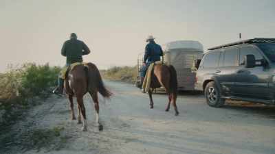 ELTON: We slip out here around these
heifers and move them, - Path of the Panther