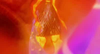 Ember... I have no regrets. - Elemental