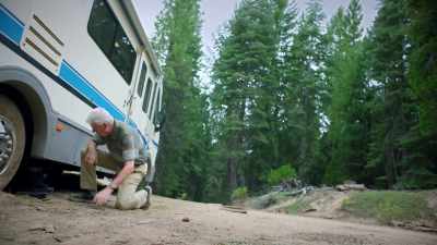 Emily, make yourself useful, - In the Forest