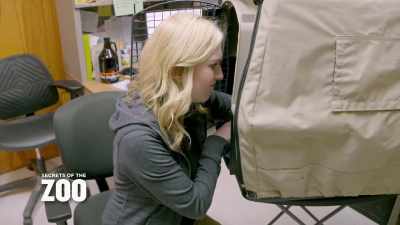 Emily: Mmm.
(lemur cries) - Secrets of the Zoo