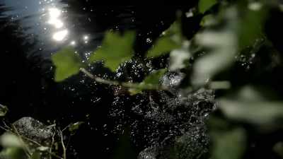 >> Emptiness, clarity, openness,
flow is the direction we need - The Way of Miracles