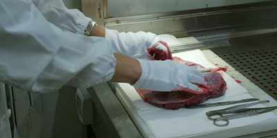 Encontramos mujeres
que nos dieron su placenta, - Plastic People
