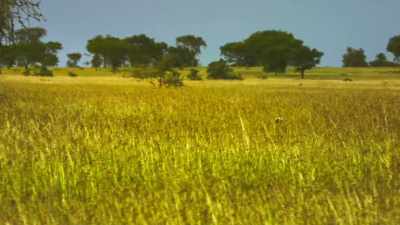 Enemies can knock when you least
expect them. - Serengeti