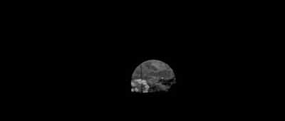 [Engine Humming,] - The Cabinet of Caligari