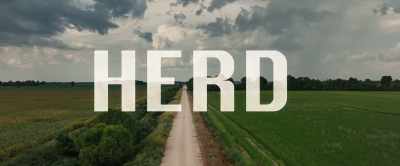 [engine racing] - Herd