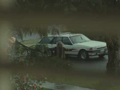 - (ENGINE REVS LOUDLY)
- Excuse me! - Shayda