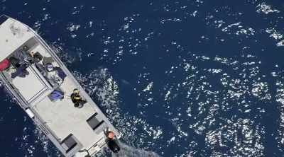 (engine starts) - Shark Attack Files