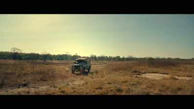 (ENGINE STOPS) - Population 11