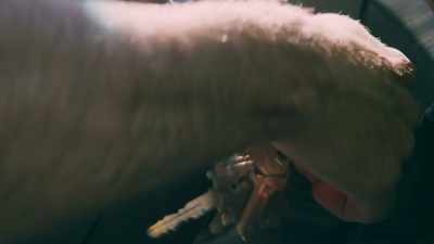 [engine turning over] - Phrogging: Hider in My House