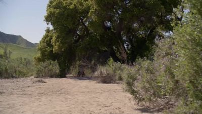 (engines revving) - NCIS