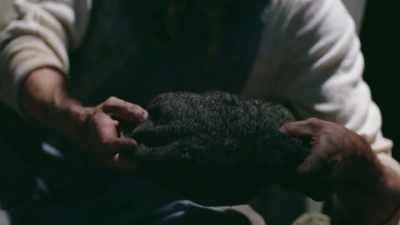 ENGLUND: A disturbing vision can
be dismissed as a nightmare... - True Terror with Robert Englund