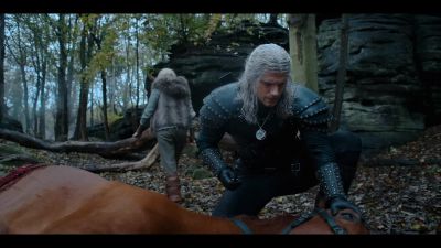Enjoy your last walk across the meadow - The Witcher