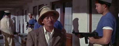 Enjoy macao madam - Soldier of Fortune