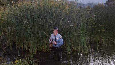 'Enos uh this is your superior officer Rosco P Coltrane ' - The Dukes of Hazzard