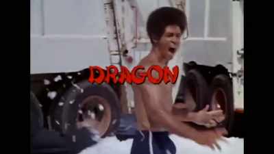 Enter Jim Dragon Kelly. - Enter the Clones of Bruce