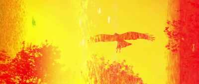 [entity caws] - The Mothman Legacy