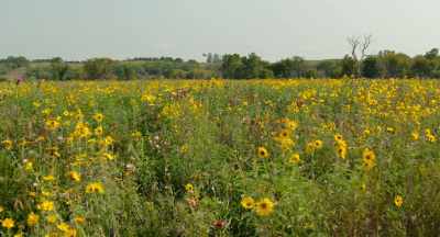 -EPA doesn't do much
original science, - The Pollinators