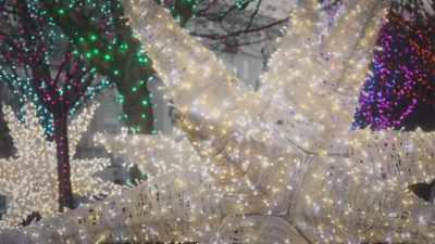 [epic music playing] - A Taste of Christmas
