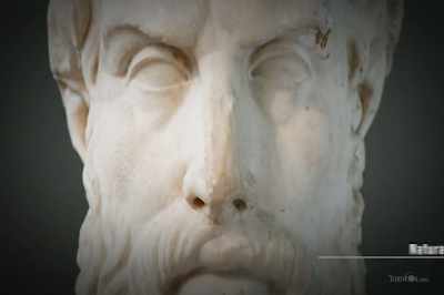 Epicurus, in the 300s
AD, called it natural justice. - Thrive II: This Is What It Takes