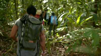 Equipped with
GPS and the LiDAR map, - Lost Treasures of the Maya