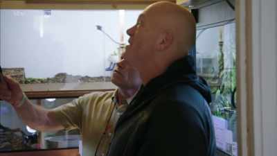 Er, two, three, four, - Britain's Tiger Kings - On the Trail with Ross Kemp