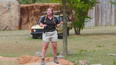 Erin:
And our fastest cheetah, kesi, - Secrets of the Zoo