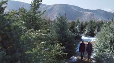 ERIN: Which could be a problem - Christmas Hotel